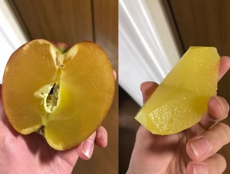 Honey Apple: The most expensive apple in the world 1