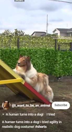 Man who spent $14,000 to 'become a dog' fails agility test 3