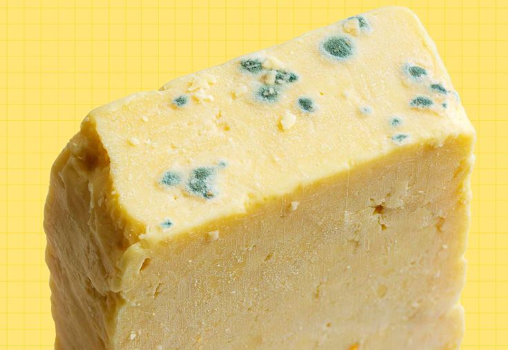 Food safety experts reveal what you CAN still eat, even if it's moldy 4