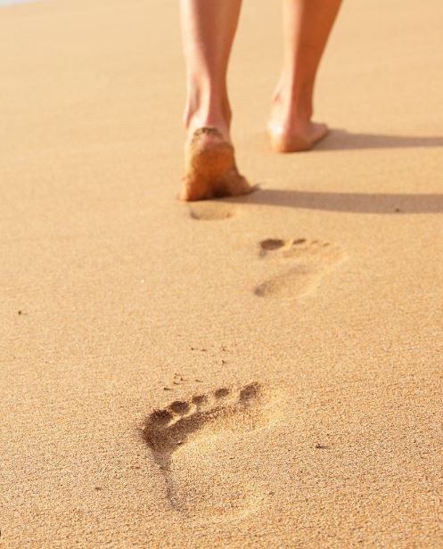 Coroner Barb McLintock provided the truth behind the mystery of human feet after 10 years.  Image Credits: Getty