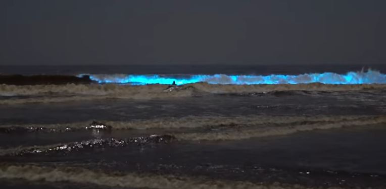 Amazing natural was captured showing a blue hue, lighting up the sea 2
