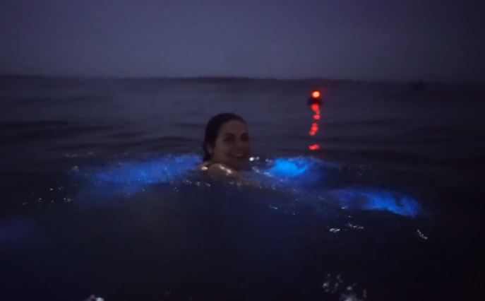 Amazing natural was captured showing a blue hue, lighting up the sea 3