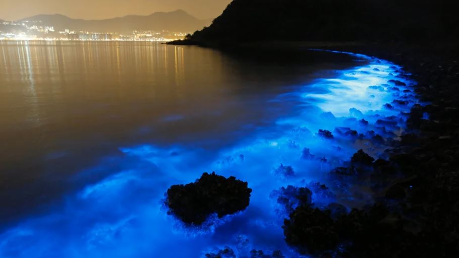 Amazing natural was captured showing a blue hue, lighting up the sea 5