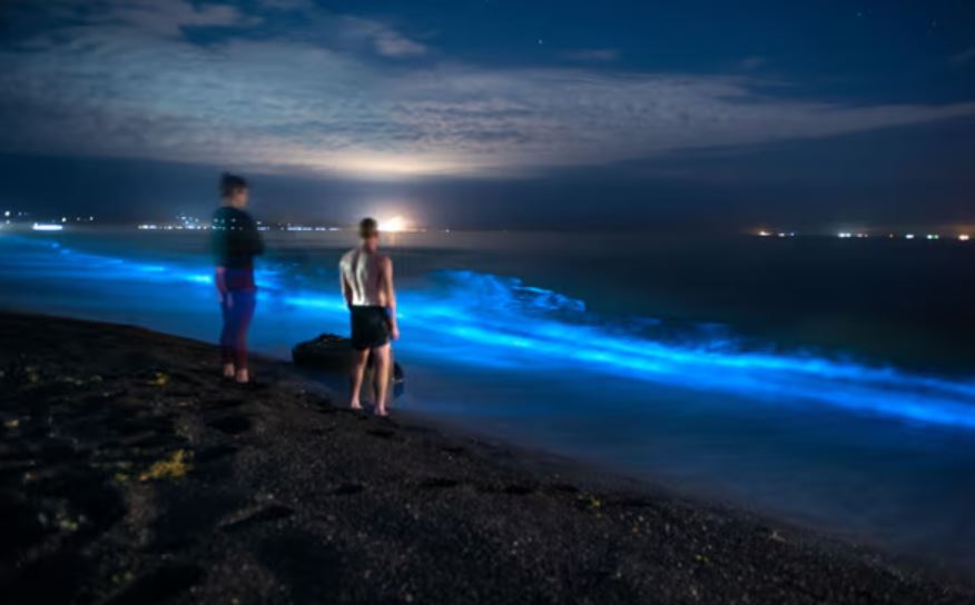 Amazing natural was captured showing a blue hue, lighting up the sea 6