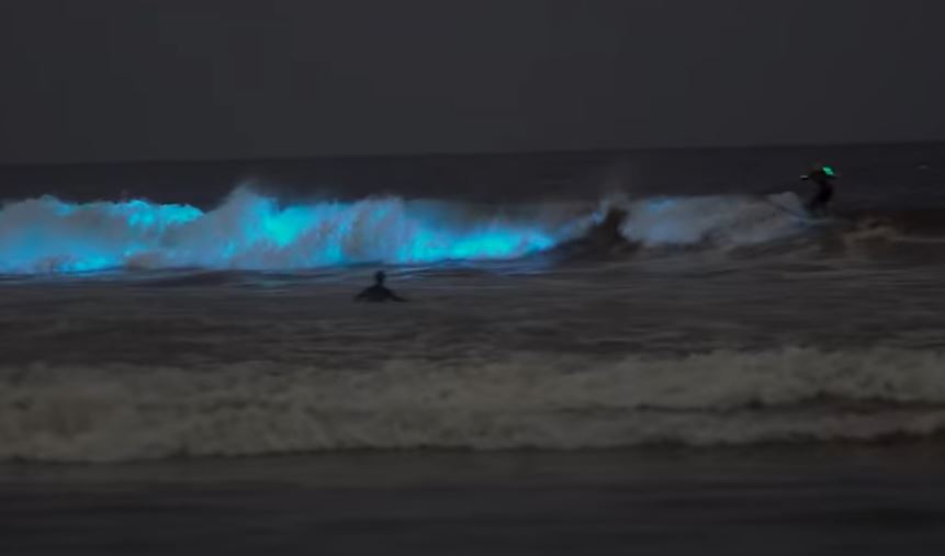 Amazing natural was captured showing a blue hue, lighting up the sea 1