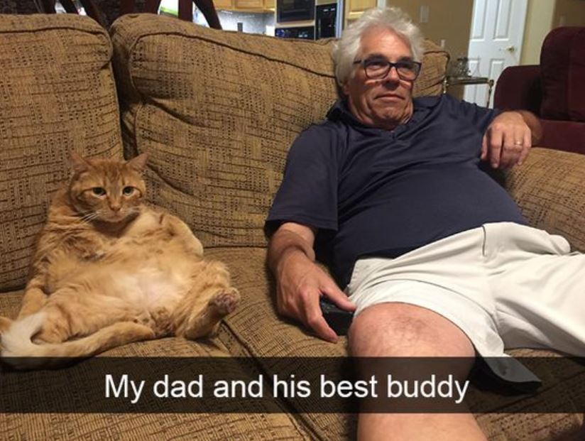 10+ Dads pampering pets that will make you jealous 4