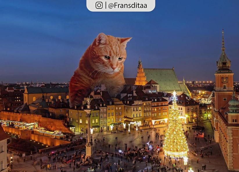 20+ Photoshop cats transformed into giants that dominate the whole world 1