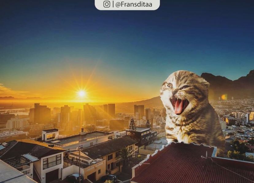 20+ Photoshop cats transformed into giants that dominate the whole world 2