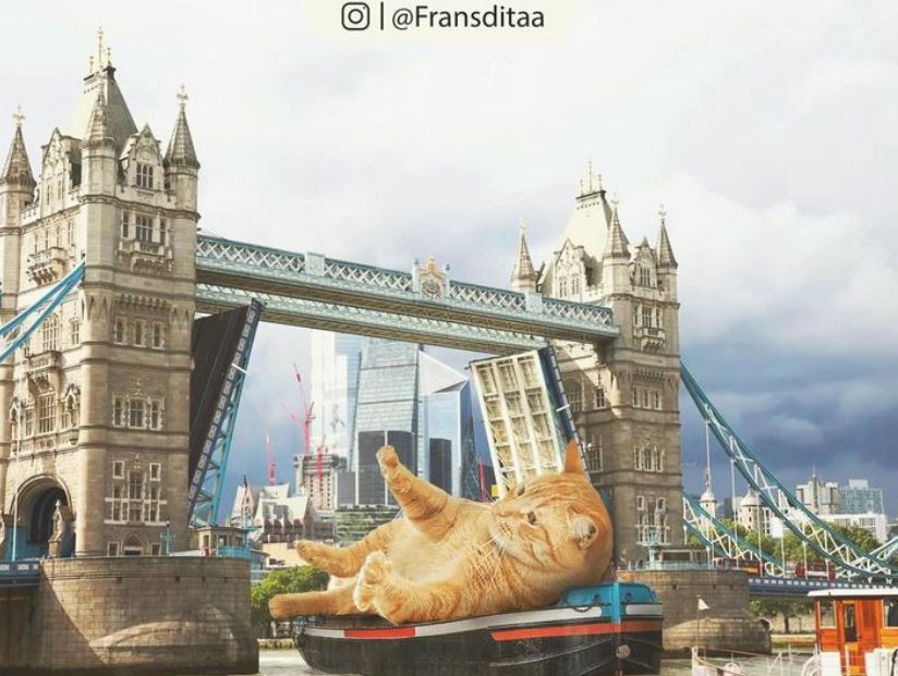 20+ Photoshop cats transformed into giants that dominate the whole world 3
