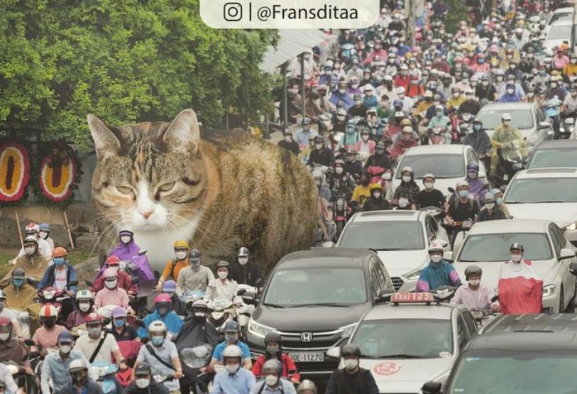 20+ Photoshop cats transformed into giants that dominate the whole world 4