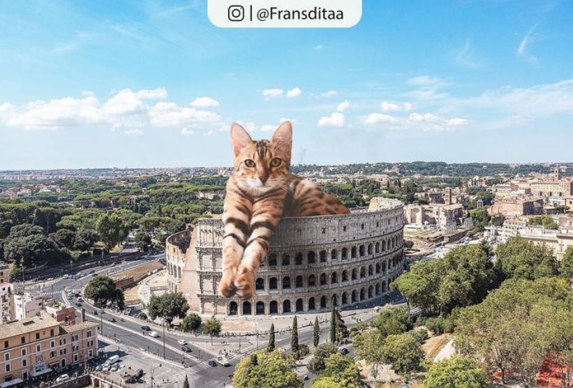 20+ Photoshop cats transformed into giants that dominate the whole world 7
