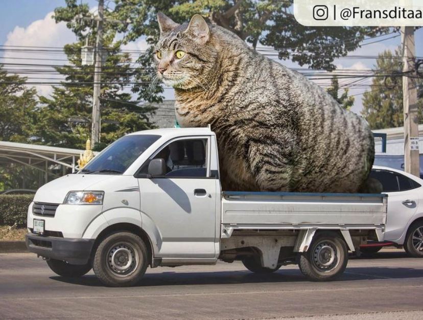 20+ Photoshop cats transformed into giants that dominate the whole world 8
