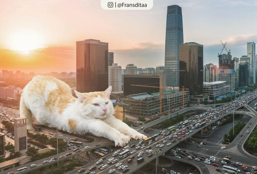 20+ Photoshop cats transformed into giants that dominate the whole world 12