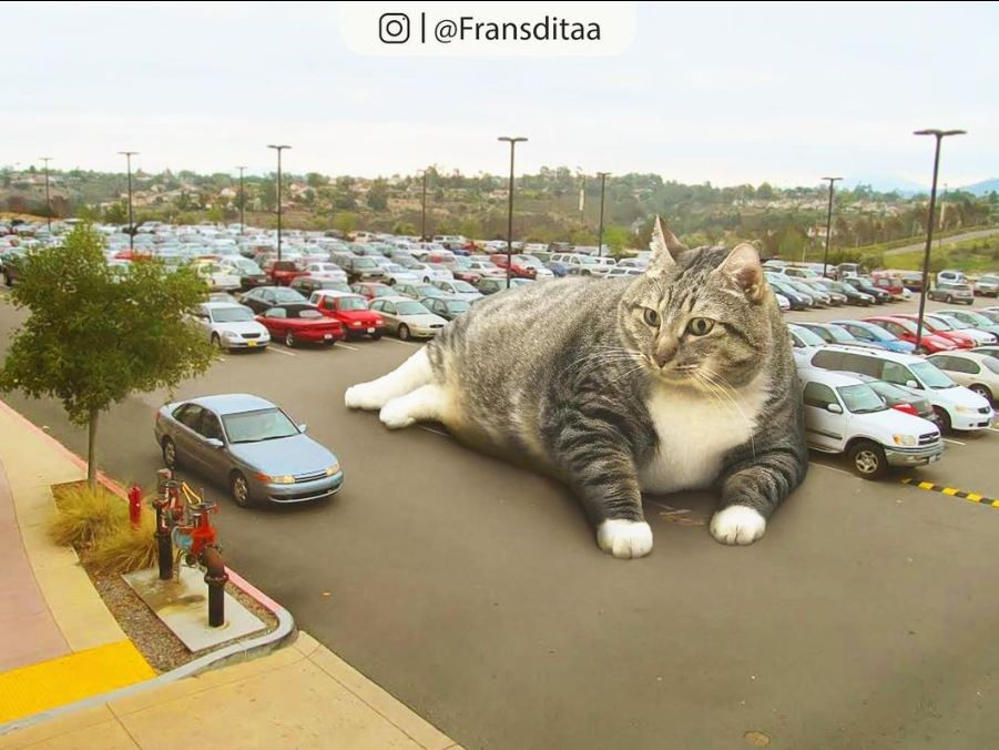 20+ Photoshop cats transformed into giants that dominate the whole world 15