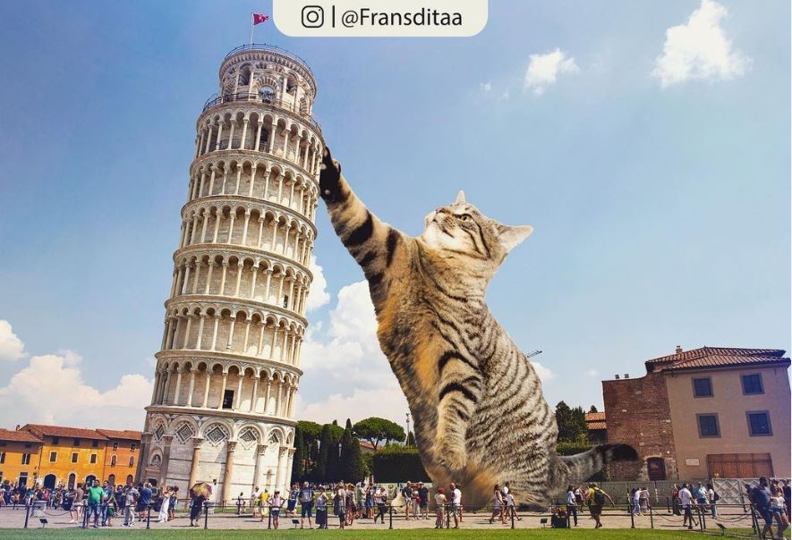 20+ Photoshop cats transformed into giants that dominate the whole world 16
