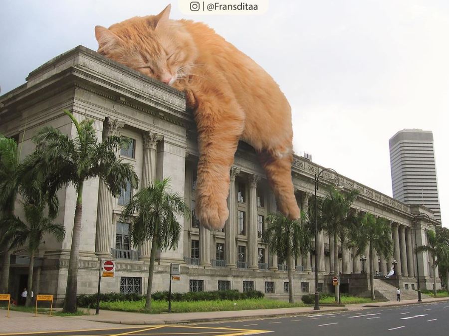 20+ Photoshop cats transformed into giants that dominate the whole world 18