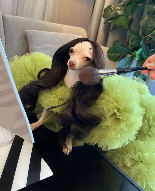 15 pics of famous dogs who went viral with feminine looks 5