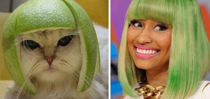 13+ animals who look like celebrities that people can't stop sharing 13