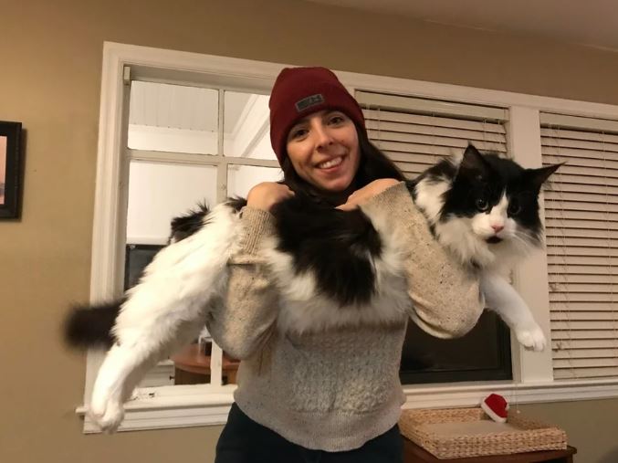 These are 15+ giant cats bigger than humans 15