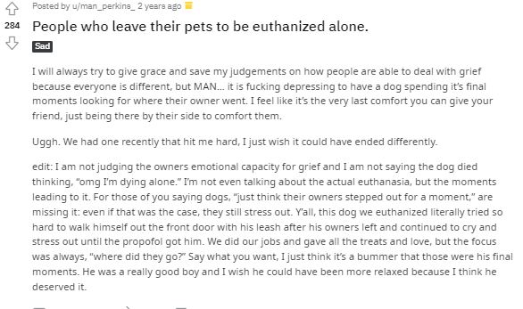 Vet share a heartfelt plea to owners plea putting their dogs to sleep 2