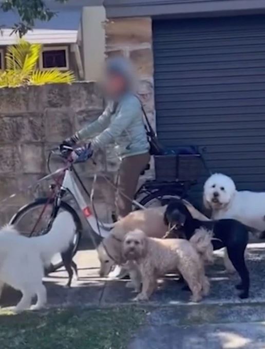 Woman sparks debate after riding e-bike while pulling 7 dog 2
