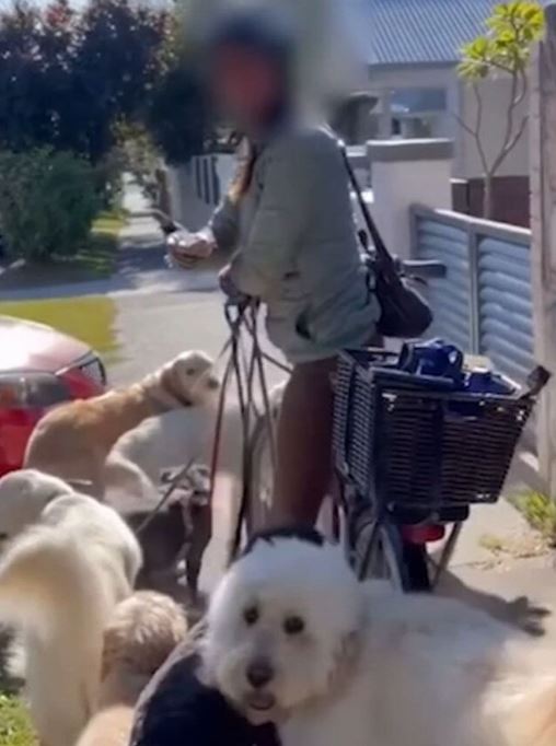 Woman sparks debate after riding e-bike while pulling 7 dog 4