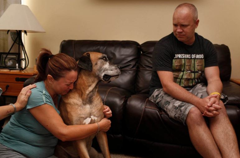 15 pic heartbreaking photos of owners saying goodbye to their beloved old dogs 11