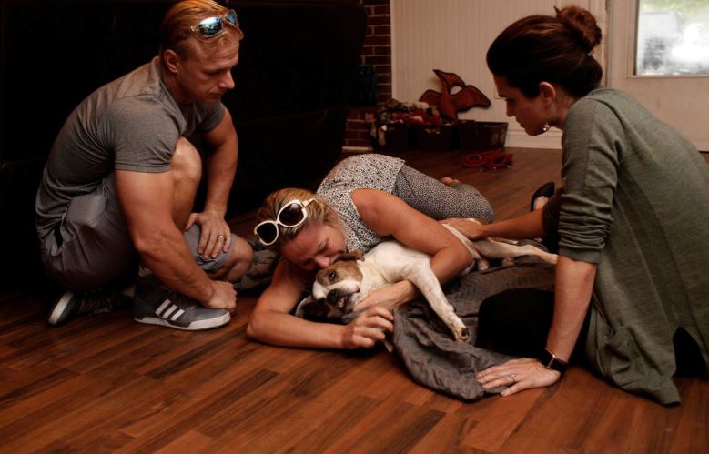 15 pic heartbreaking photos of owners saying goodbye to their beloved old dogs 12