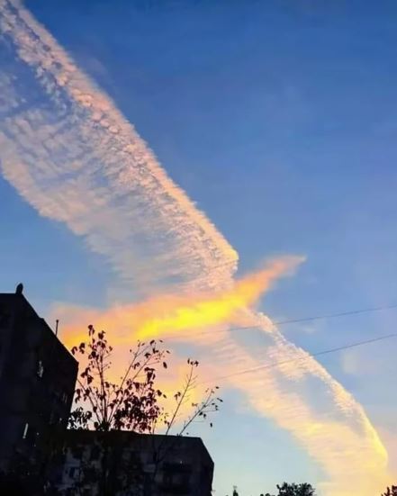 15 hilarious clouds that look like animals will make you amazing 1