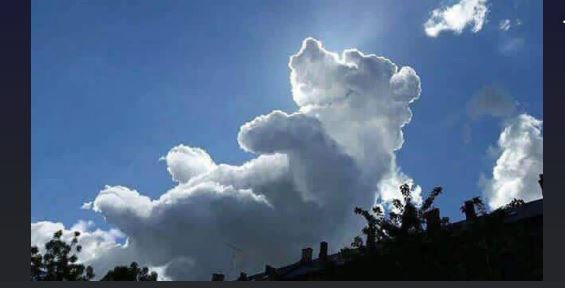 15 hilarious clouds that look like animals will make you amazing 4