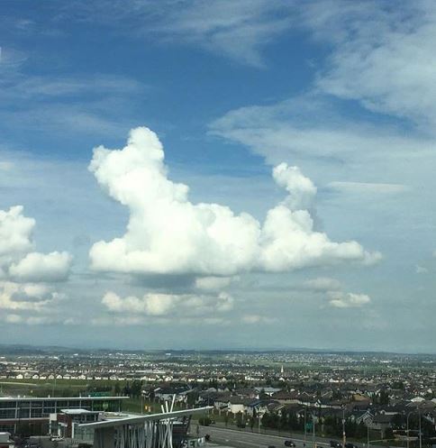 15 hilarious clouds that look like animals will make you amazing 7