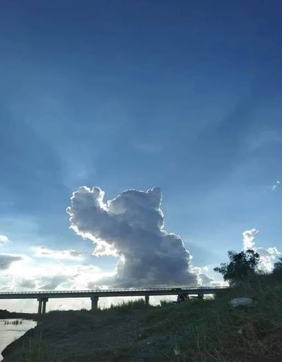 15 hilarious clouds that look like animals will make you amazing 8