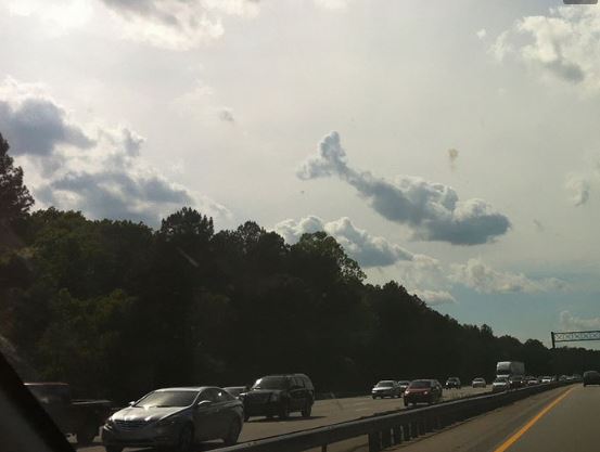 15 hilarious clouds that look like animals will make you amazing 9
