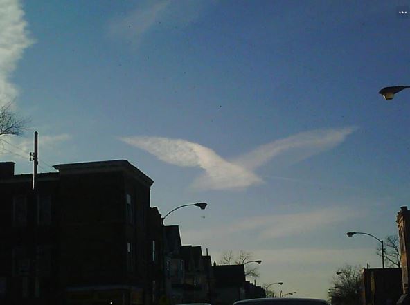 15 hilarious clouds that look like animals will make you amazing 10