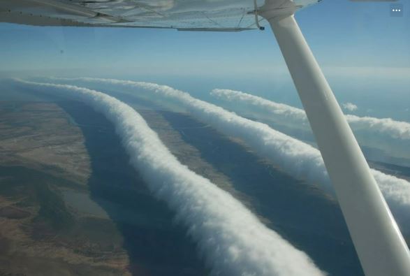 15 hilarious clouds that look like animals will make you amazing 11