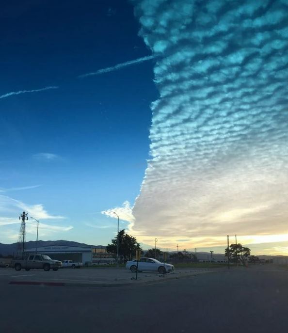 15 hilarious clouds that look like animals will make you amazing 12