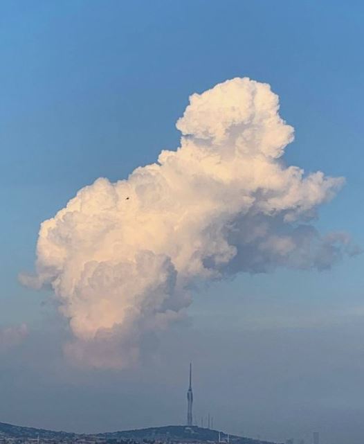 15 hilarious clouds that look like animals will make you amazing 13