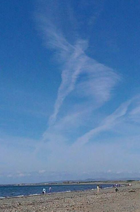 15 hilarious clouds that look like animals will make you amazing 14