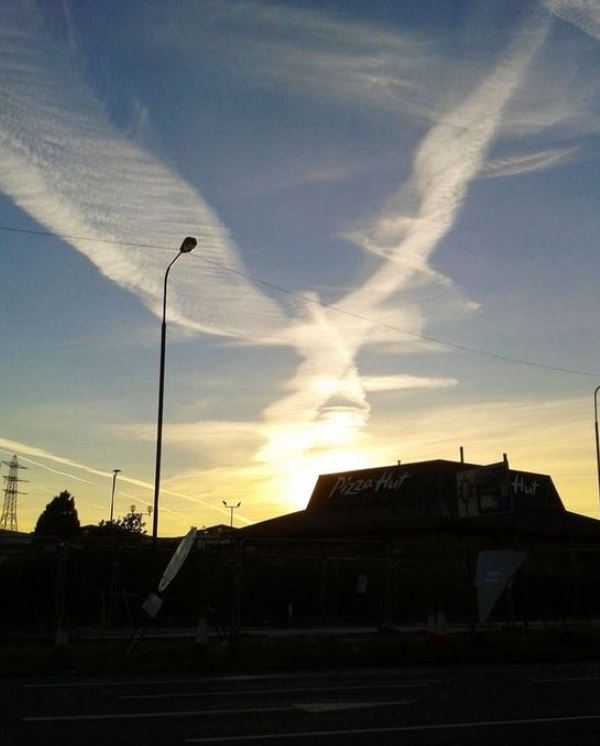 15 hilarious clouds that look like animals will make you amazing 15