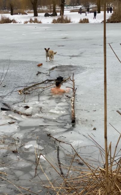 Brave man leaps into freezing lake to rescue trapped dog 2