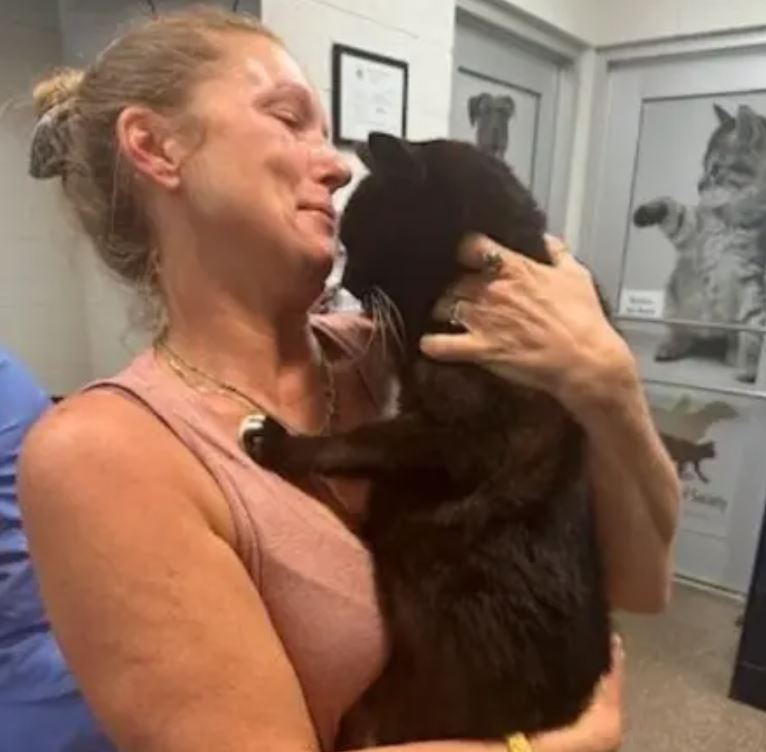 Woman breaks down in tears of happiness after cat missing for 10 years suddenly returns home 2