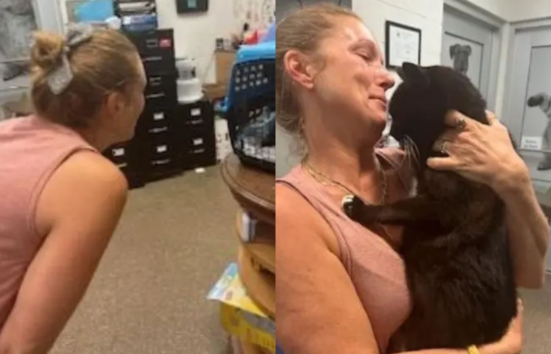 Woman breaks down in tears of happiness after cat missing for 10 years suddenly returns home 3