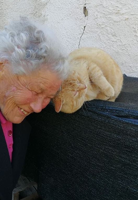 Woman breaks down in tears of happiness after cat missing for 10 years suddenly returns home 5