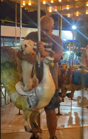 Grandpa's carousel adventure with his dog captivates in viral video 4