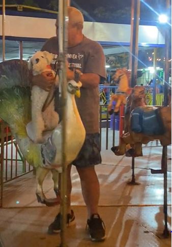 Grandpa's carousel adventure with his dog captivates in viral video 2