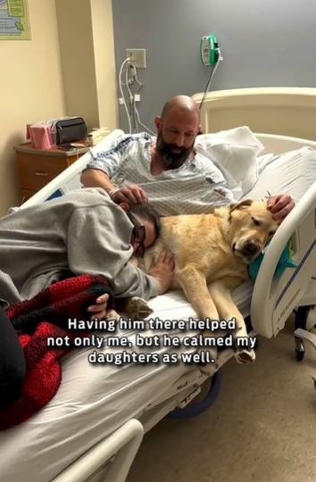 Loyal dog refuses to leave owner facing genetic challenges 1