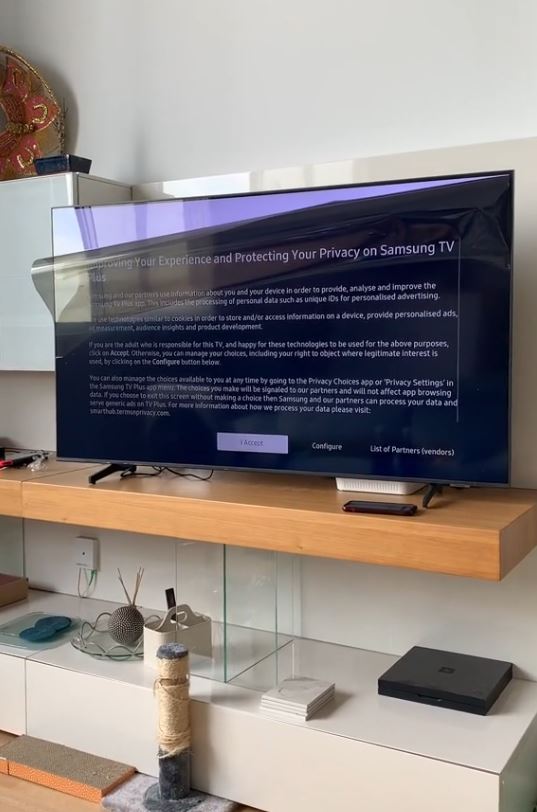 Couple accidentally broke TV by mistakenly peeling off the screen 2
