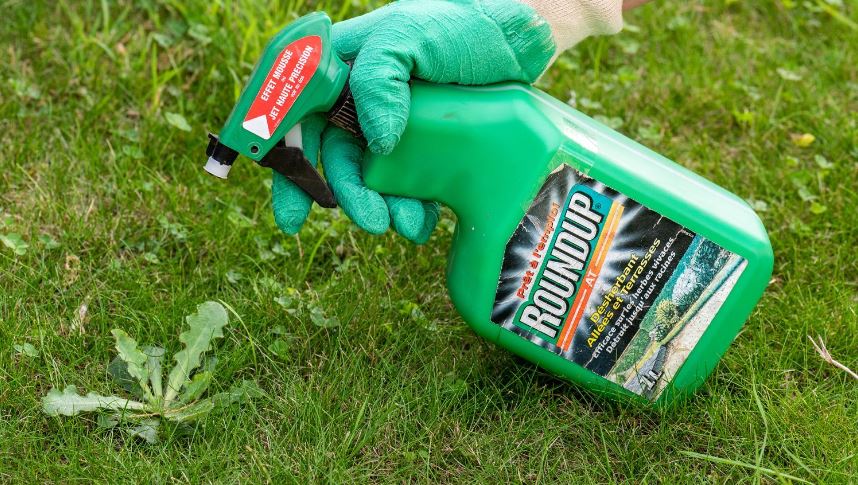 Man awarded $2.25 Billion in indemnity after jury finds Roundup Weed killer caused his cancer 3