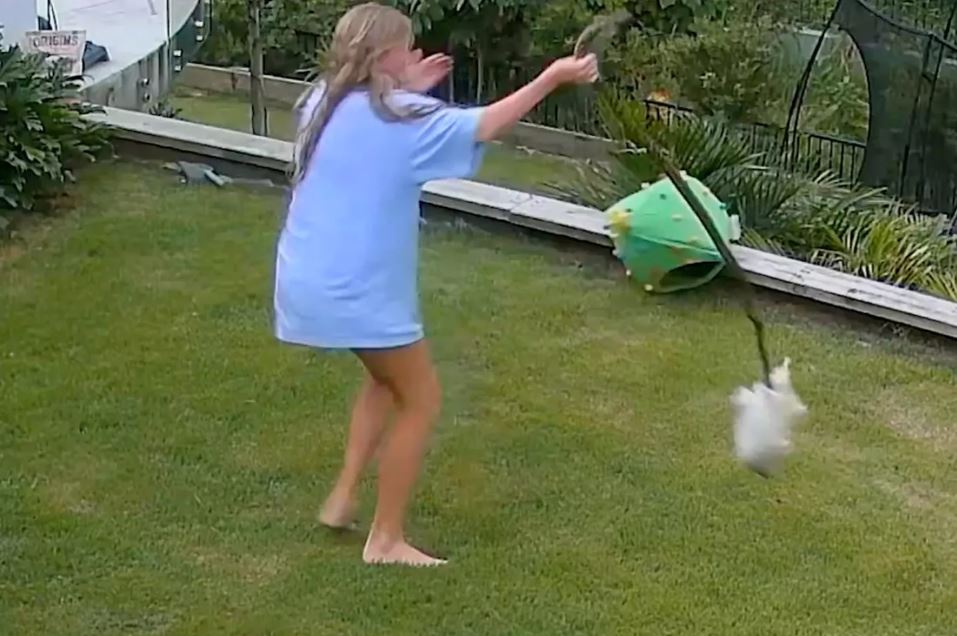 Girl whirls huge snake around to save guinea pig's life from being eaten by snake 2