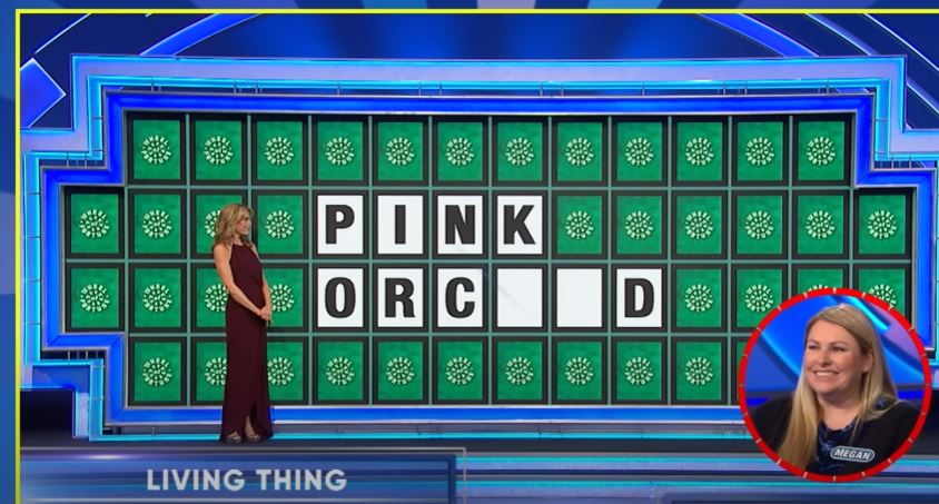  Wheel of Fortune contestant Megan allegedly lost $40,000 due to for her incorrect answer 1